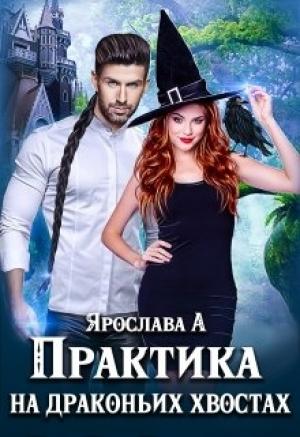 Обложка книги «Практика на драконьих хвостах.Книга 1» — Ярослава А