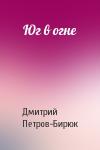 Дмитрий Ильич Петров-Бирюк - Юг в огне