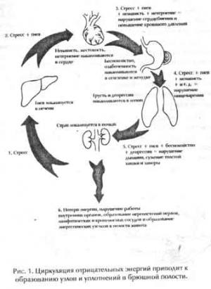 Обложка книги «Ци-нэйцзан. Ци-массаж внутренних органов» — Мантэк Чиа