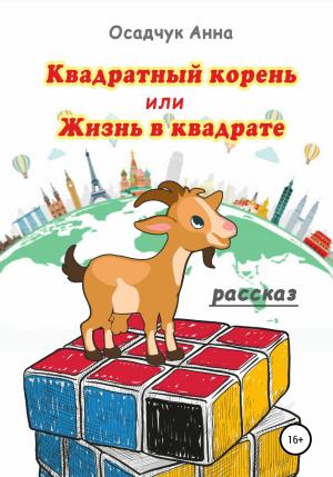 Обложка книги «Квадратный корень, или Жизнь в квадрате» — Анна Осадчук