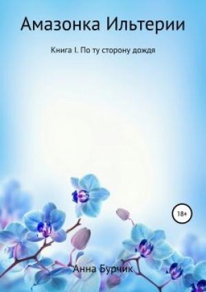 Обложка книги «По ту сторону дождя» — Анна Бурчик