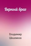 Владимир Шкаликов - Верный враг