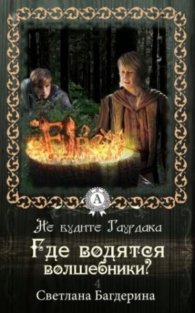 Обложка книги «Где водятся волшебники?» — Светлана Багдерина