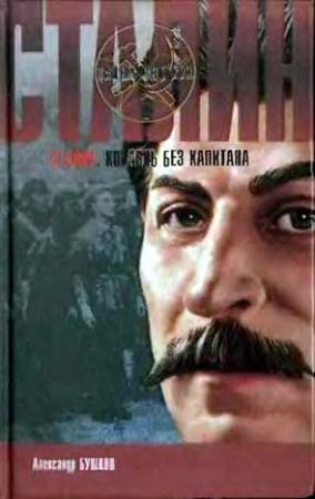 Обложка книги «Сталин. Корабль без капитана» — Александр Бушков
