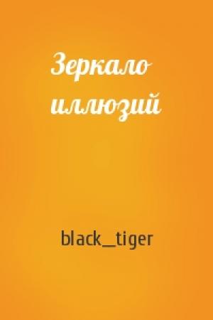 Обложка книги «Зеркало иллюзий» — black__tiger