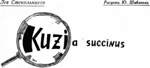 Обложка книги «Kuzia succinus» — Лев Стекольников