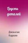 Джонатан Кэрролл - Грусть деталей