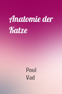 Anatomie der Katze