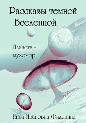 Обложка книги «Рассказы темной Вселенной» — Инна Фидянина