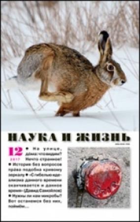 Обложка книги «Один в поле» — Елена Щетинина