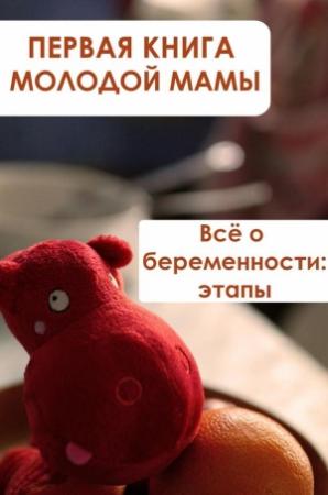 Обложка книги «Всё о беременности: этапы» — Илья Мельников