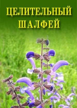 Обложка книги «Целительный шалфей» — Иван Дубровин