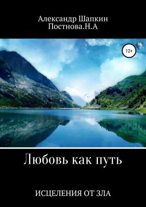 Обложка книги «Любовь как путь исцеления от зла» — Александр Шапкин