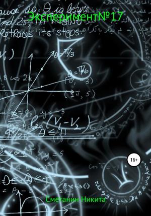 Обложка книги «Experiment №17» — Никита Сметанин