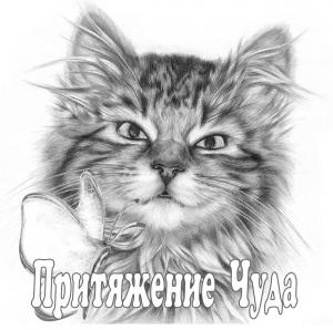 Обложка книги «Притяжение чуда» — Владимир Гость