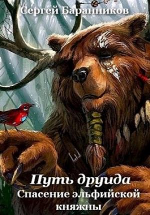 Обложка книги «Спасение эльфийской княжны» — Сергей Баранников