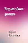 Карлос Кастанеда - Безмолвное знание