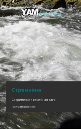 Обложка книги «Стремнина» — Галина Шкавронская