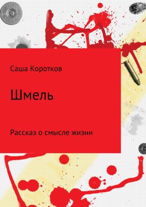Обложка книги «Шмель» — Александр Коротков