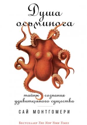 Обложка книги «Душа осьминога. Тайны сознания удивительного существа» — Сай Монтгомери