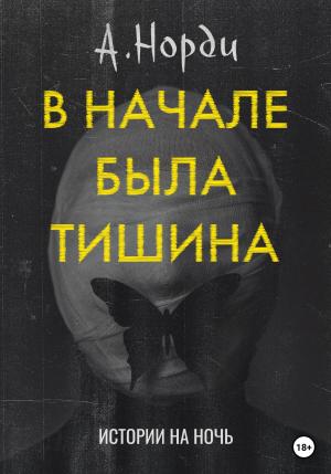 Обложка книги «В начале была тишина» — А. Норди