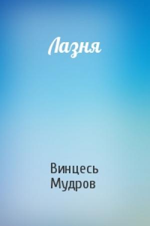 Обложка книги «Лазня» — Винцесь Мудров