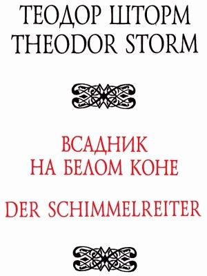 Обложка книги «Всадник на белом коне» — Теодор Шторм