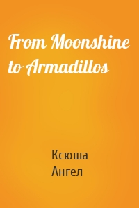 From Moonshine to Armadillos