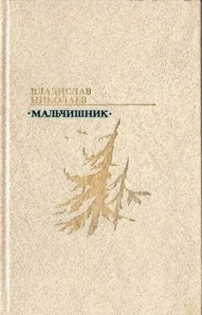 Обложка книги «Мальчишник» — Владислав Николаев