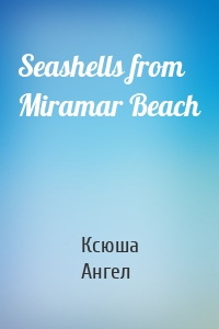 Seashells from Miramar Beach