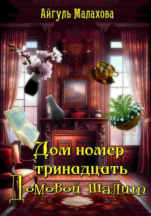 Обложка книги «Дом номер тринадцать. Домовой шалит» — Айгуль Малахова