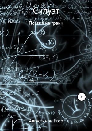 Обложка книги «Силуэт» — Егор Августинов