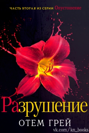 Обложка книги «Разрушение (ЛП)» — Отем Грей