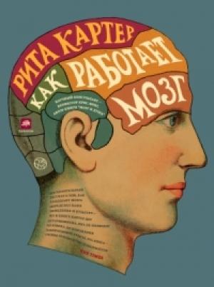 Обложка книги «Как работает мозг» — Рита Картер