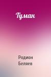 Родион Беляев - Туман