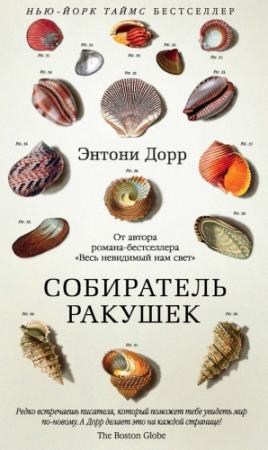 Обложка книги «Собиратель ракушек» — Энтони Дорр