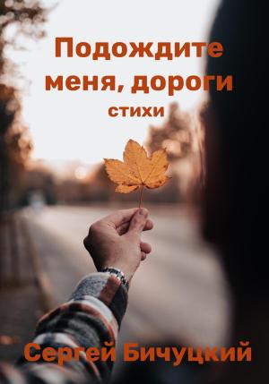 Обложка книги «Подождите меня, дороги» — Сергей Бичуцкий