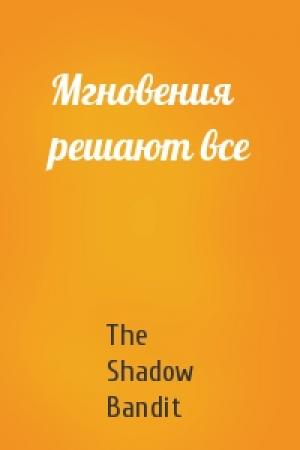 Обложка книги «Мгновения решают все» — The Shadow Bandit
