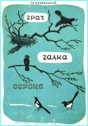 Обложка книги «Грач. Галка. Сорока» — Георгий Скребицкий