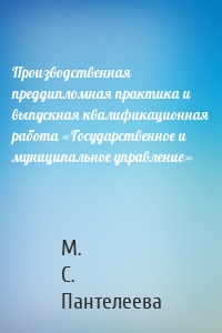 Производственная преддипломная практика и выпускная квалификационная работа «Государственное и муниципальное управление»