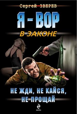 Обложка книги «Не жди, не кайся, не прощай» — Сергей Зверев