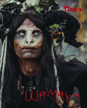 Обложка книги «Шаман» — Панч