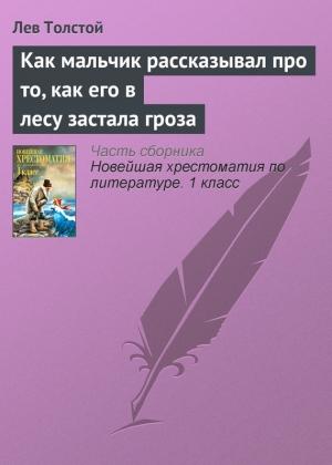 Обложка книги «Как мальчик рассказывал про то, как его в лесу застала гроза» — Лев Толстой