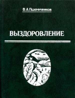 Обложка книги «Выздоровление» — Владимир Пшеничников