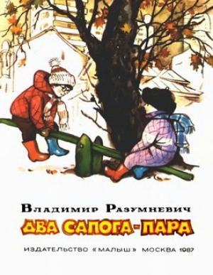 Обложка книги «Два сапога — пара» — Владимир Разумневич