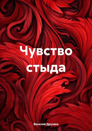 Обложка книги «Чувство стыда» — Василий Друзяка