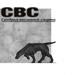 Обложка книги «С.В.С.(Синдром Внезапной Смерти)» — Константин Бабулин