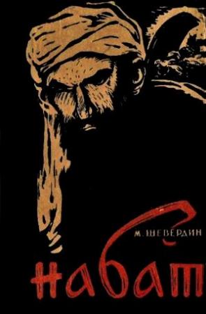 Обложка книги «Набат. Книга первая: Паутина» — Михаил Шевердин