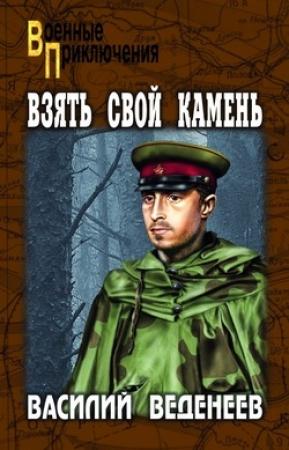 Обложка книги «Взять свой камень» — Василий Веденеев