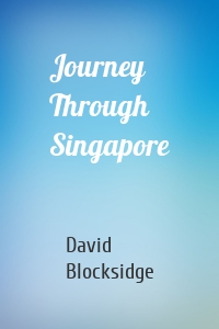 Journey Through Singapore